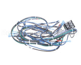 51367 Blodgett Harness,Combi Ele Rear Line Vo