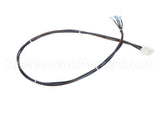 515-240D-32 Beverage Air Four Wire Harness- Dixell, 32