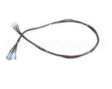 515-240D-32 Beverage Air Four Wire Harness- Dixell, 32
