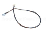 515-240D-32 Beverage Air Four Wire Harness- Dixell, 32