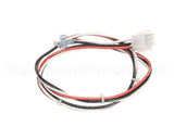 515-241D-32 Beverage Air Three Wire Harness- Dixell, 32