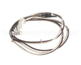 515-244D-36 Beverage Air Harness-Compressor