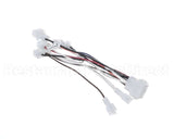 515-394D-06 Beverage Air Main Freezer Harness