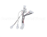 515-394D-06 Beverage Air Main Freezer Harness