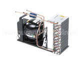 516816 Duke Unit, Cond 1/5Hp 220V 50Hz R13