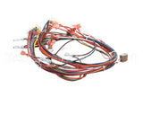 51751 Blodgett Harness,Front,Xr8-G,Ssd,2Spee