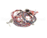 51995 Blodgett Harness,Xl50E Kfc 24V Relay Bo
