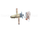 520282 Duke Txv Valve Kit, Set For Cp Side