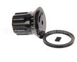 520309 Globe Gauge Plate Index Knob Assembl