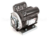 522302-SV Stoelting Motor (60 Hz) - Drive W/Mount