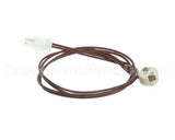 53080 Blodgett Light Socket