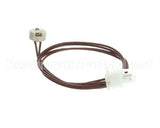 53080 Blodgett Light Socket