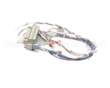 53230 Blodgett Harness,Combi Man Frt 24V