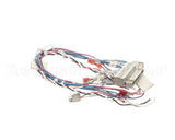 53230 Blodgett Harness,Combi Man Frt 24V