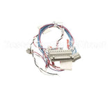 53230 Blodgett Harness,Combi Man Frt 24V