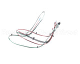 53283.0001 Bunn Wire Harness, Icb Sh Comm Board
