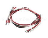 53367 Blodgett Harness,Element Xr8E