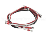 53367 Blodgett Harness,Element Xr8E