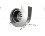 54776 Blodgett Blower Assembly, Drilled, 115