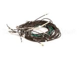 55049-72 Apw Wyott Wire Set Hfw-3 Inf Control 72