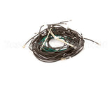 55049-72 Apw Wyott Wire Set Hfw-3 Inf Control 72