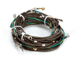 55049 Apw Wyott Wire Set Assembly-3 Well