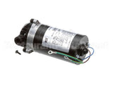 560002164 Cornelius Pump And Motor 230V 50/60Hz
