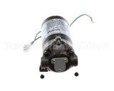 560002164 Cornelius Pump And Motor 230V 50/60Hz