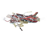 56002022 Amana Menumaster Harness, Main