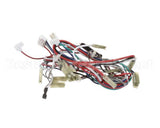 56002022 Amana Menumaster Harness, Main