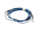 56164 Apw Wyott 4-Wire Set Term W/Term Blk