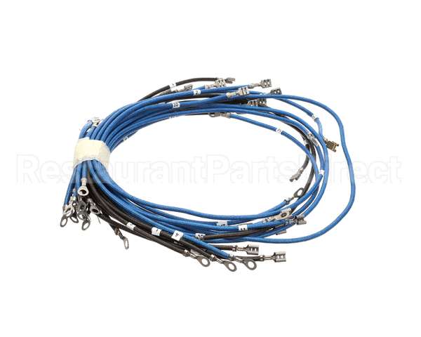 56164 Apw Wyott 4-Wire Set Term W/Term Blk