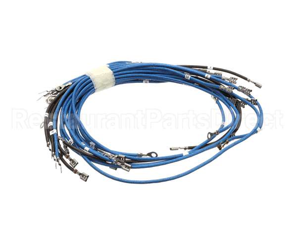 56164 Apw Wyott 4-Wire Set Term W/Term Blk