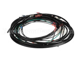 56822 Henny Penny Lead Wire Assy