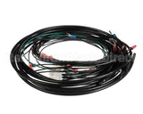 56822 Henny Penny Lead Wire Assy
