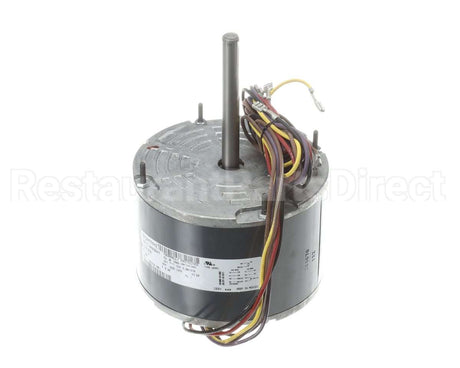 56944001 Markel Motor