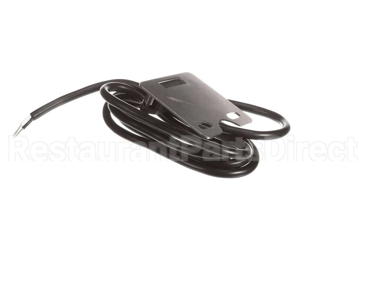 5700-004-65-67 Jackson Door Switch Assembly