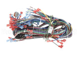 57480 Blodgett Harness, Neeo, Rear