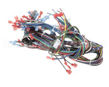 57480 Blodgett Harness, Neeo, Rear