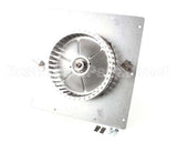 57530-5 Montague Motor Assembly. 3/4 Hp 115V 1Ph