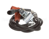 57659 Blodgett Kit,Pilot Assembly W/Wire Pg Ha