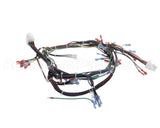 57856 Blodgett Harness,Dfg-Es, Control Ssd
