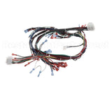 57856 Blodgett Harness,Dfg-Es, Control Ssd