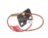 58700 Blodgett Switch Assembly,Door Bc20