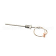58871 Compatible Blodgett Probe, 1K Rtd W/1/4 Npt Fittin