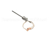 58871 Blodgett Probe,1K Rtd W/1/4 Npt Fittin