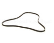 58897 Saniserv Belt Polyv 400J6
