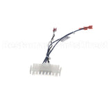 59029 Blodgett Harness, Front Ts Digi