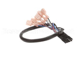 5999-004-10-49 Jackson Harness, Membrane Switch Wire