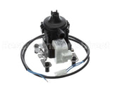 5H1001050000 Modine 230V 13W Condensate Pump